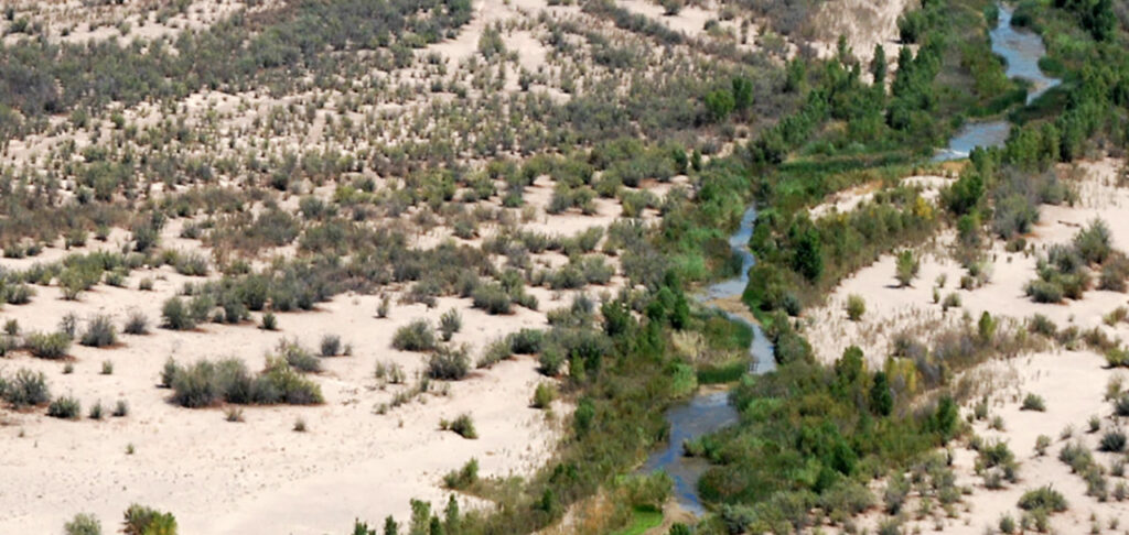 Colorado River below Morelos Dam