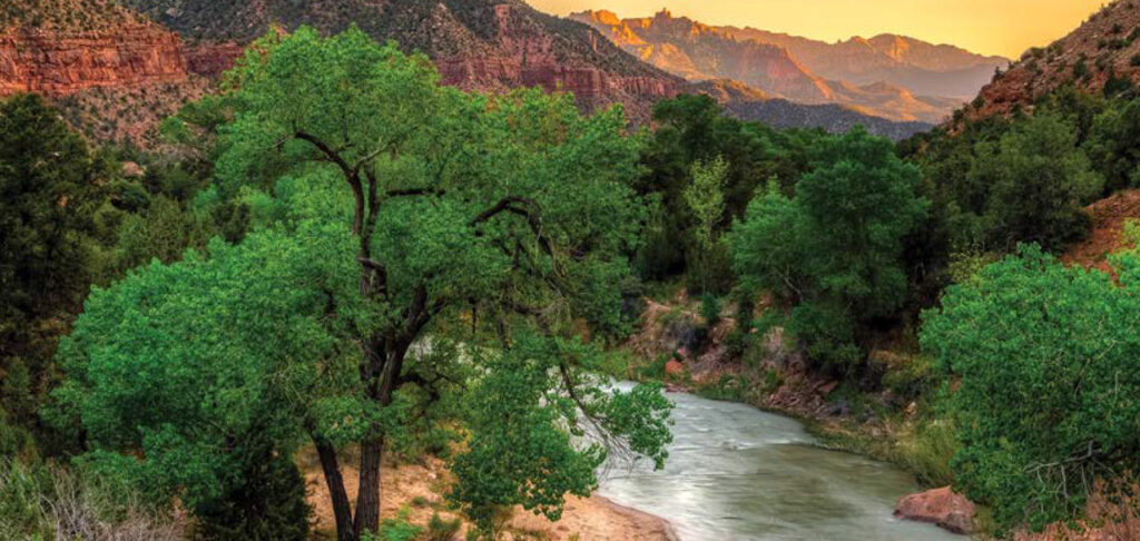 Colorado River in Zion National Park