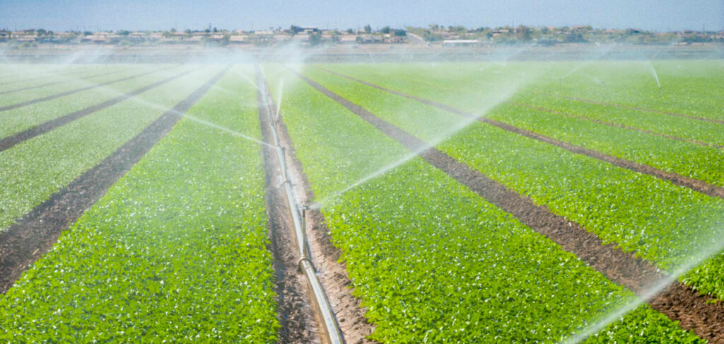 Irrigation among crops