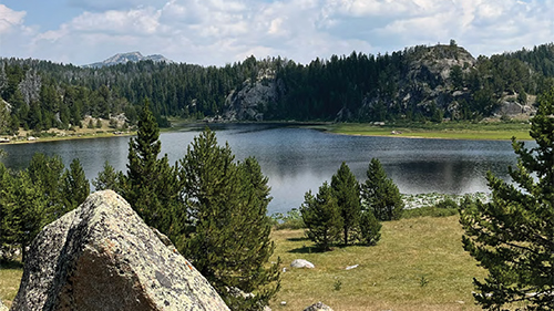 2025 Annual Report cover image